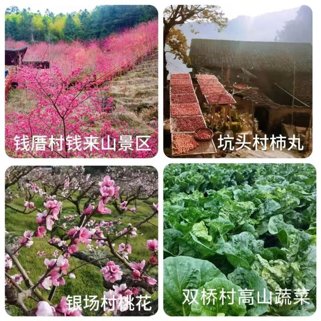 高速贯通山海路 福建宁德古田县大桥奏响文旅歌