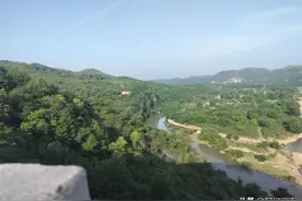 现实很严重，好多人已经三个月没发工资了图片