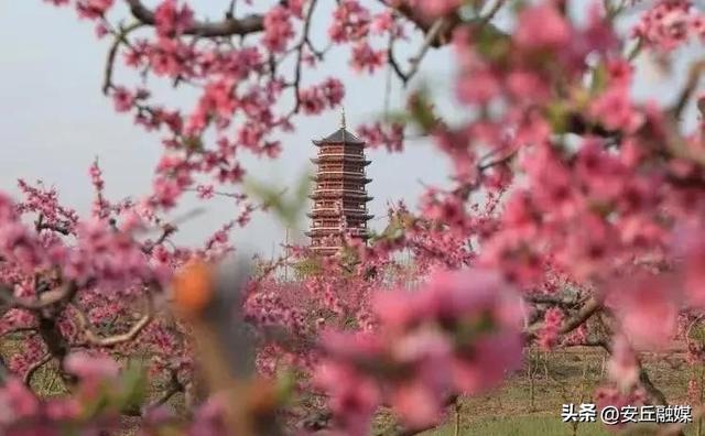 平步青云的潍坊安丘天路