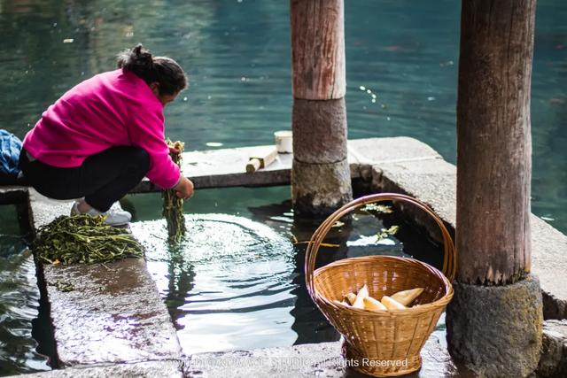 我愿称腾冲为秋季的天花板!银杏、温泉、古镇,来过的人都不想走