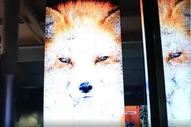 【24小时】河北邯郸：历史文化街区人头攒动 文旅消费强劲火爆图片