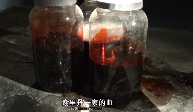 我怀疑，这部片来自暗网