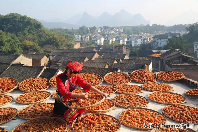 开着房车去流浪,打卡桂林恭城红岩村,漫山遍野柿子红