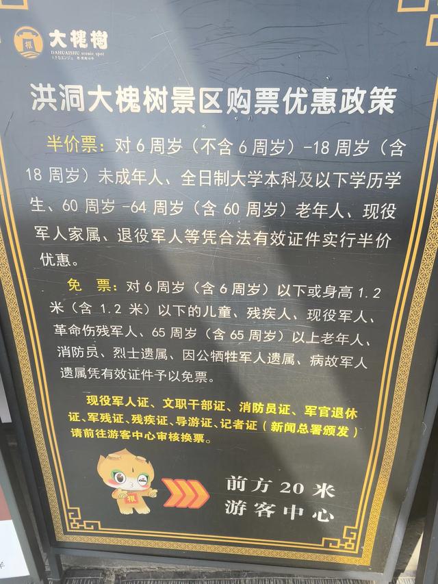 归根之旅:山西洪洞大槐树下的血脉寻踪