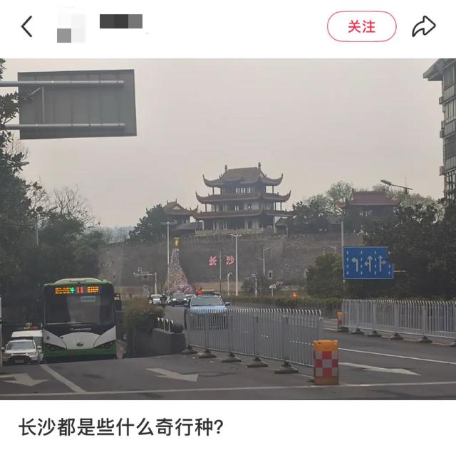 全国最没班味的人都在长沙