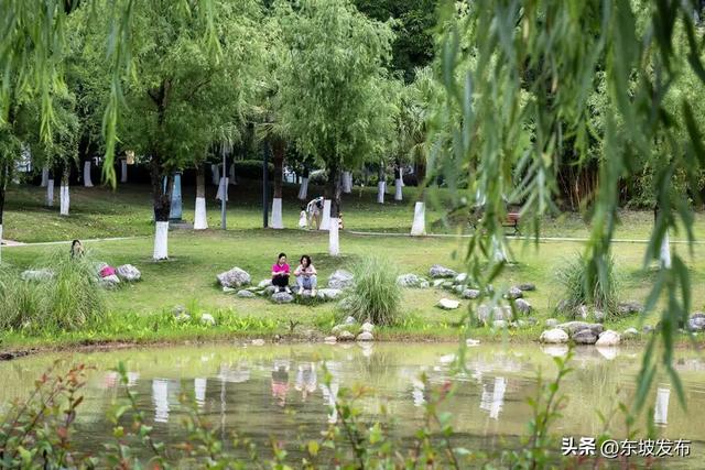 你好 东坡！│ 苏洵公园：一园藏古今，半卷写春秋