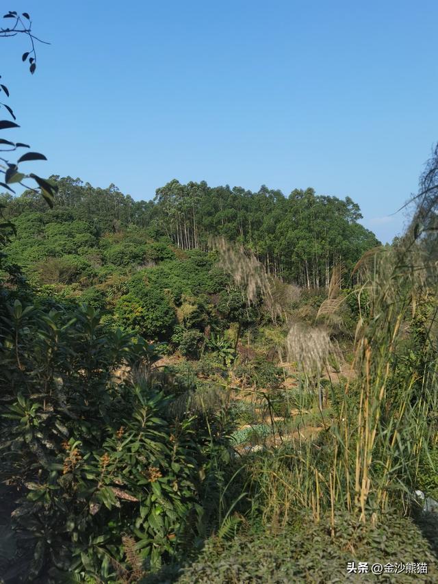 从福建漳浦到广东饶平 蜜柚真甜 双龙连续三年千里骑双骑9