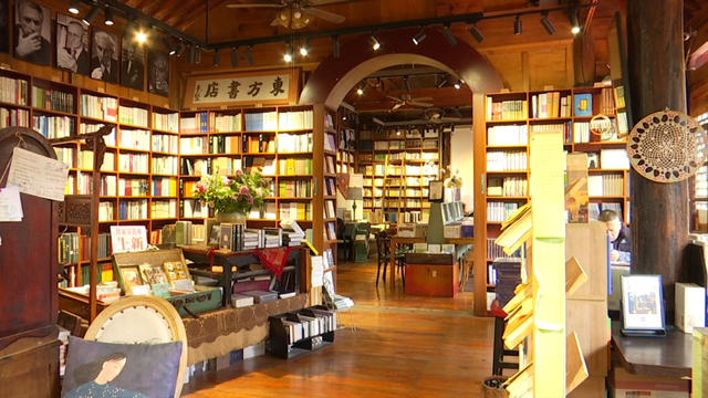 “鸥”经济爆发！昆明元旦酒店订单猛增118%，全靠这群小可爱