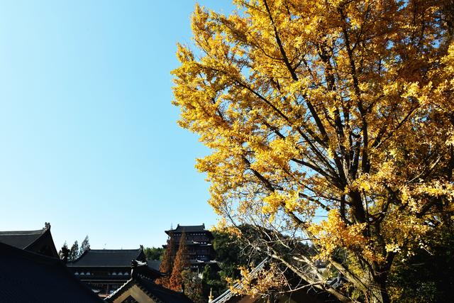 五上径山（游径山寺）