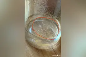 深圳一小区自来水有“漂浮物”？官方释疑：出自西江水，符合标准图片