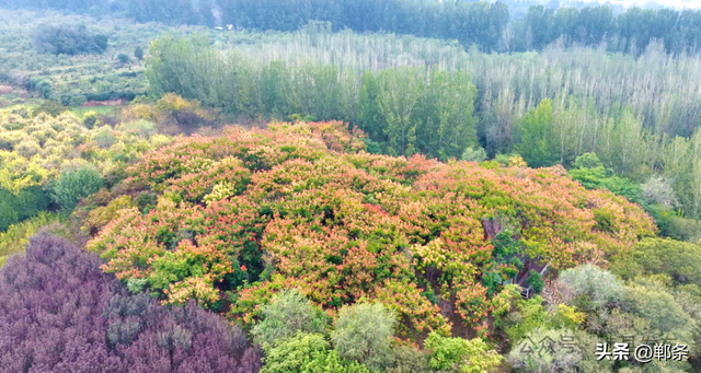 涉县：美拉德配色里，藏着橙黄橘绿的诗意