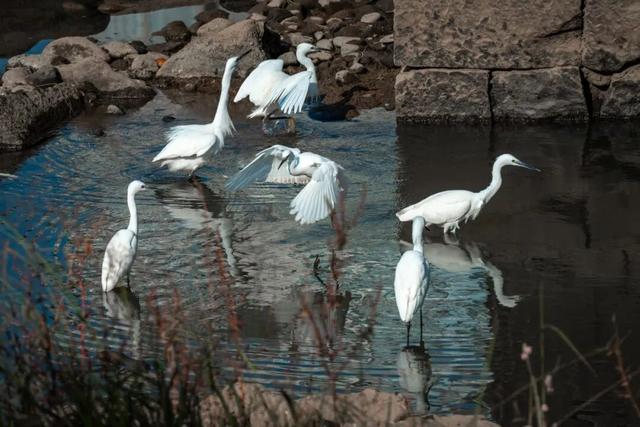 武夷山 | 我就说，这才是过日子~