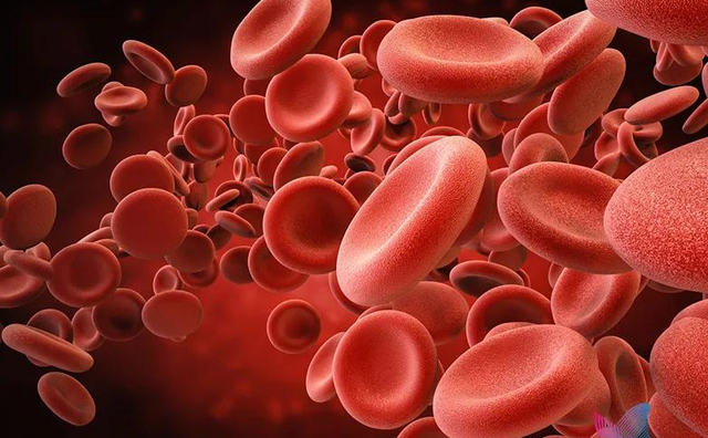 中国人为啥对酸味又爱又恨？一文讲清楚这背后的亿年演化历史