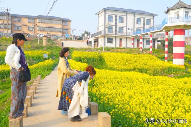 河南淮滨：淮河岸畔春光美