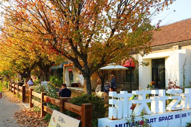 潍坊美景“告急”！这些地方错过等一年！