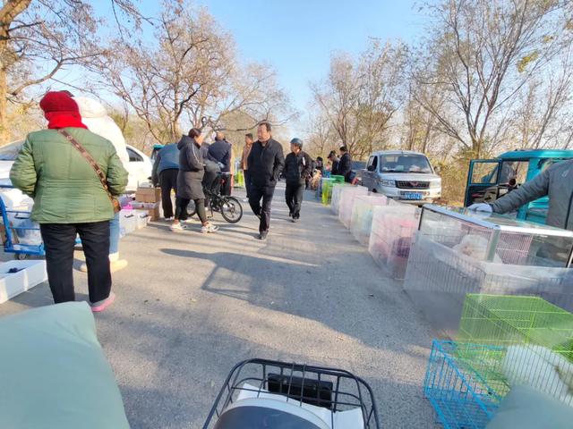 记录德州：岔河河堤上的大集，人山人海，异常热闹