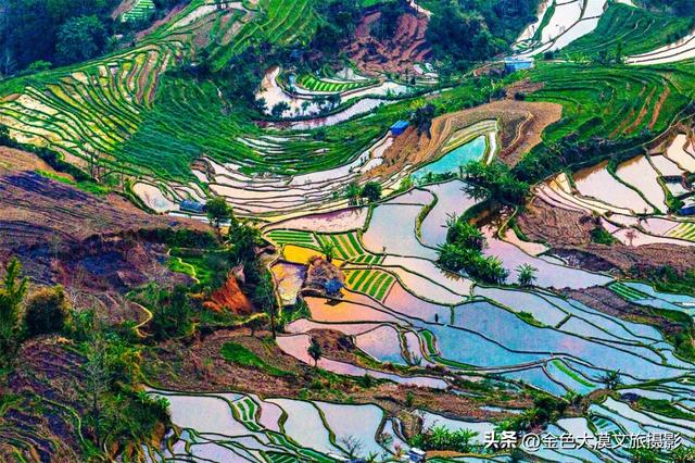 春日爆款！花季限定·2月8日/3月8日出发【花开滇境·七彩云南】8日