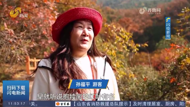 层林尽染！在抱犊崮的红叶“画廊”里攀岩漫步