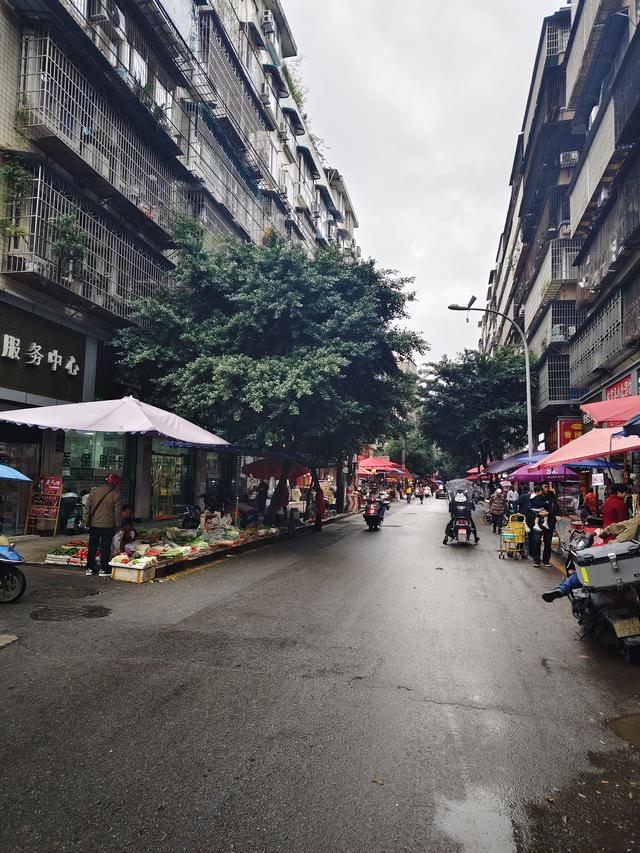 南行漫记：放慢行走的脚步，我们在南充休整