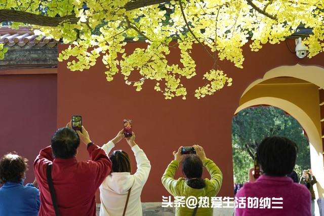 如果您是退休女性，只要有2000元的退休金，就不要出去打工。