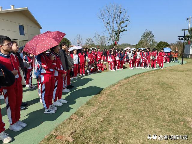湖光映濠江 研学润童心——澳门学子向阳湖湿地的生态文化之约