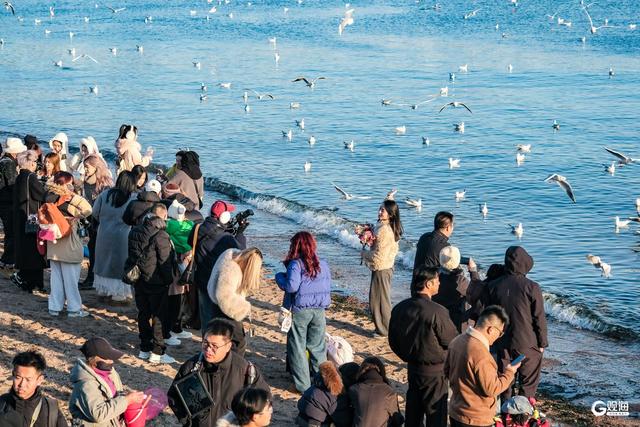 青岛冬日的海，是这座城市的浪漫注脚