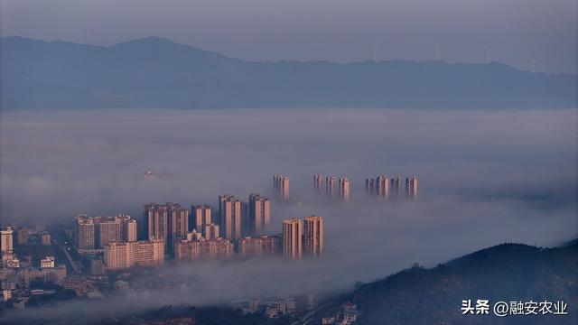 广西融安：云雾缭绕 美景如画