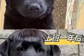 来看看大家上班的“班味”有多严重，网友回复，太真实了图片