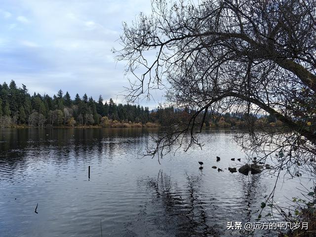 温哥华游记（一）