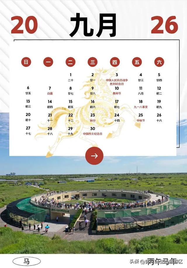 【黄河口生态旅游区】2026新春马年日历来袭啦!