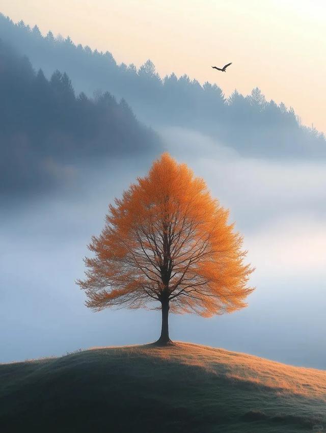 光遇新季节
