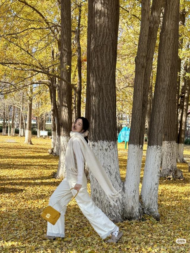 临沂免费赏秋好去处，错过你将后悔一整年！