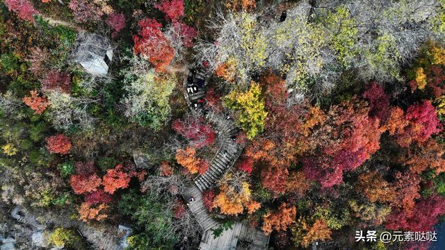 赏秋徒步险酿大祸！门头沟消防提醒：山林行进切勿分开行动