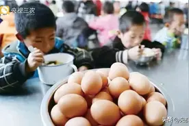 农村学生营养餐补贴被挪用、挤占，问题根源在哪？图片