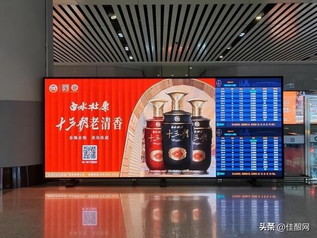 黄河右岸，槐海深处有清香