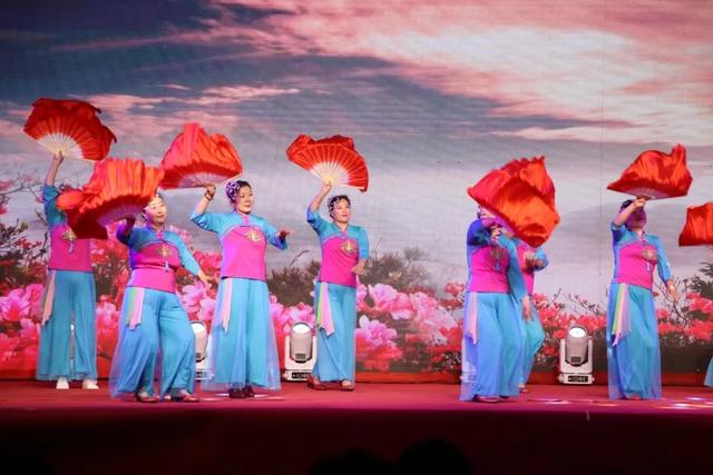 枣庄市文化馆2025年度精彩时刻(四)以文塑旅促融合 荣誉见证显担当