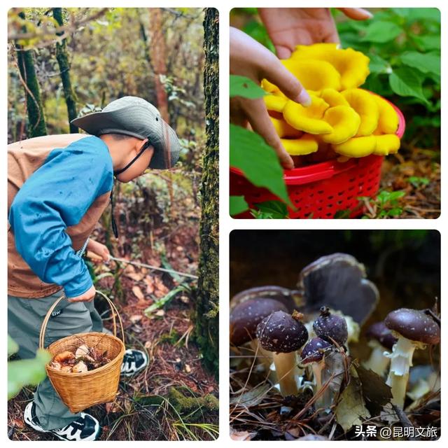 昆明十七公里外，藏着一个可以看“海”的白族村