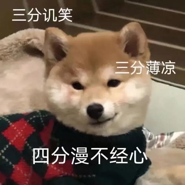 特斯拉廉价版贵到离谱