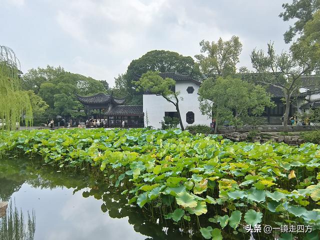 临近国庆，在还很闷热的天气里，游览市内现存最大的园林拙政园