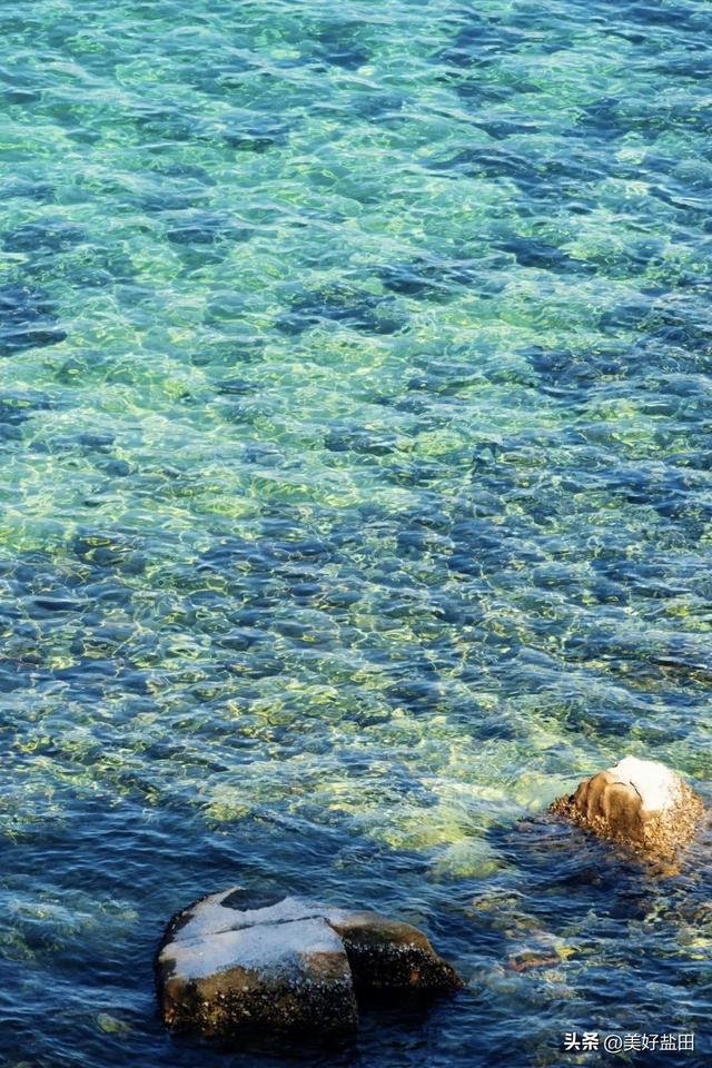 在盐田看海上运动，还能这样玩！