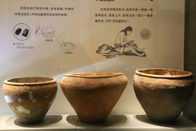 触摸仰韶：在渑池博物馆遇见华夏文明的第一缕曙光