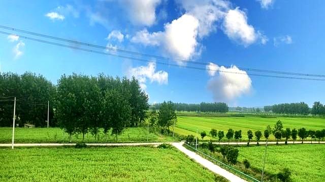 人有没有福气！看吃饭就知道：有福气的人，吃饭大多有这几个特征