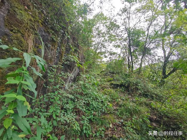 探寻龙眼山古寺遗址，一次最为艰难的野外探险之旅