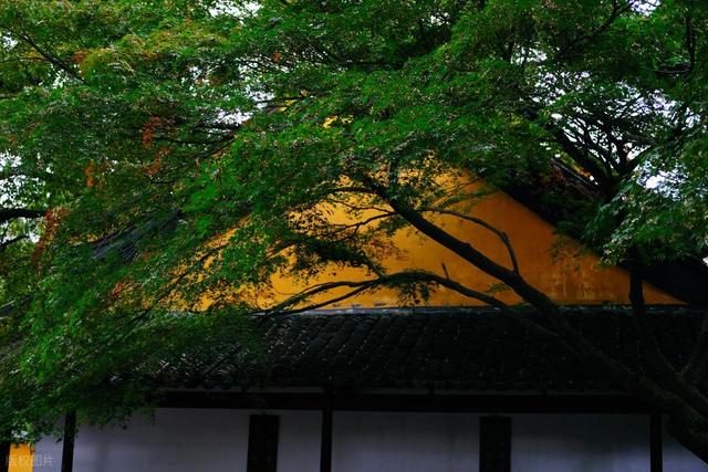 这座我去了又去的江南小城，魅力实在太大了