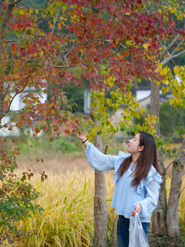 若你问深秋最该去哪里偷段闲？答案，就藏在黟县