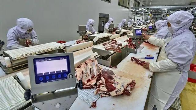 新加坡总统：中国不要自给自足，海南封关将会砸了新加坡的铁饭碗