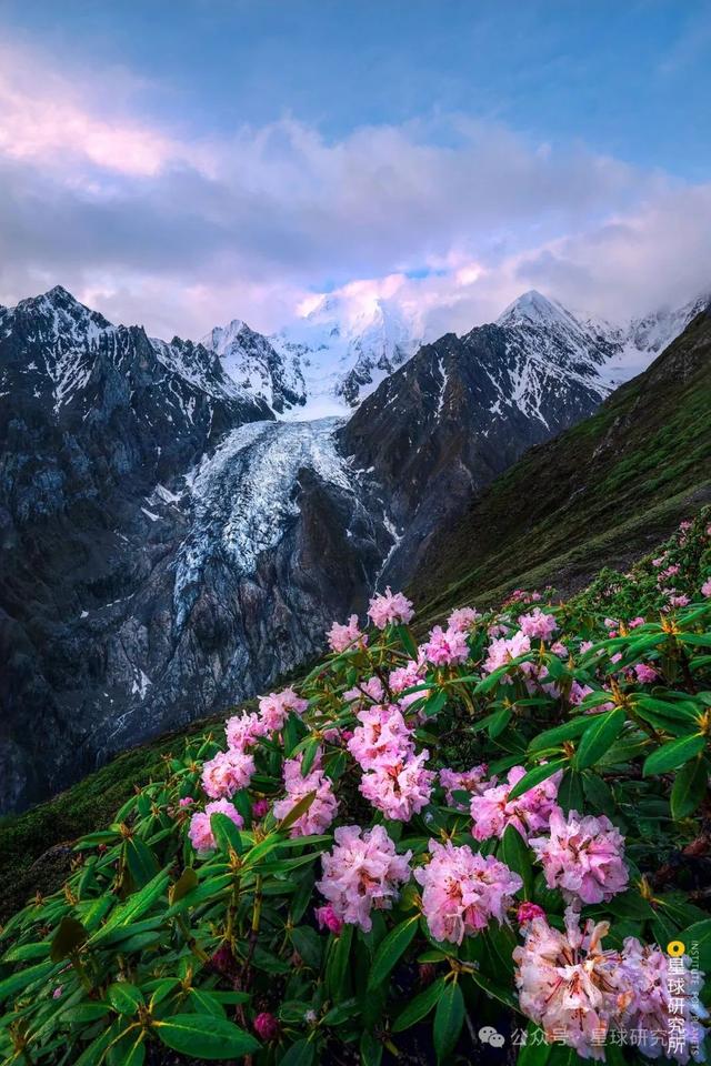 中国的雪山花海，开始征服地球了？③