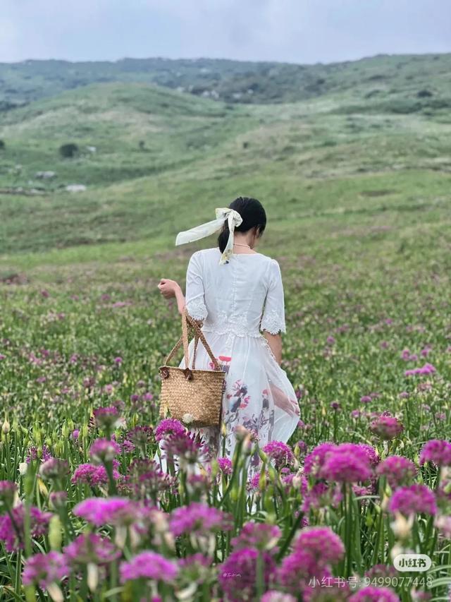 避开人潮！高铁直达20℃冷门小城，花海美过川西、地质景观顶级！16元炫资格美食！
