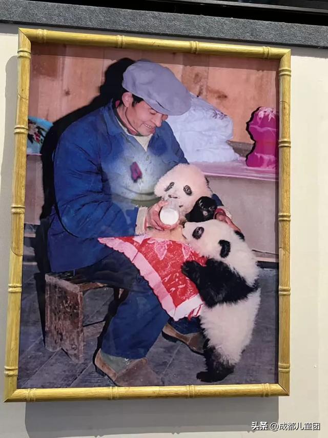 常被路过的雅安，值得专门去玩一趟