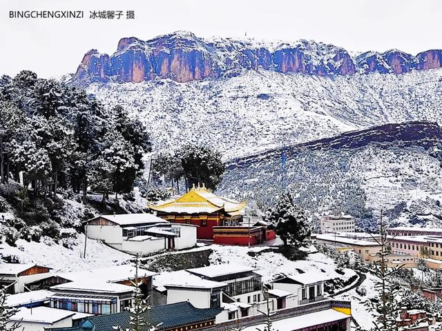 甘南-川西北之旅-6︱六月雪吻郎木寺